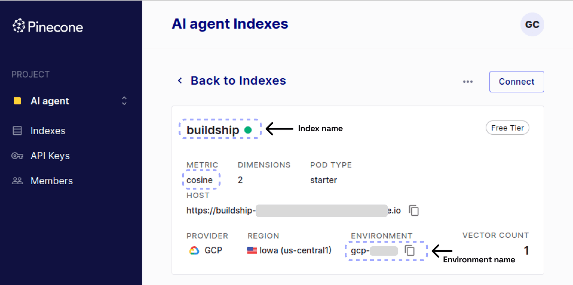 PineCone Index Setup